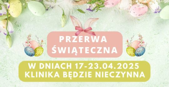 Wielkanocna przerwa w Klinice Prawa WPiA US